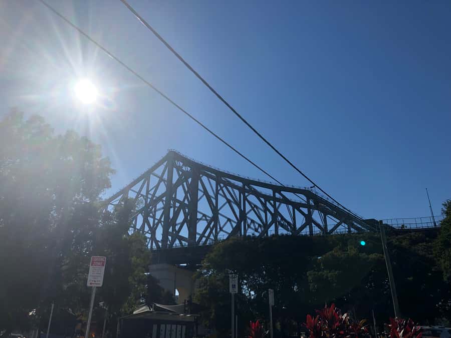 Lone Pine and Brisbane City Highlights - Brisbane in Six Hours: How This Route Gets You Sightseeing Fast
