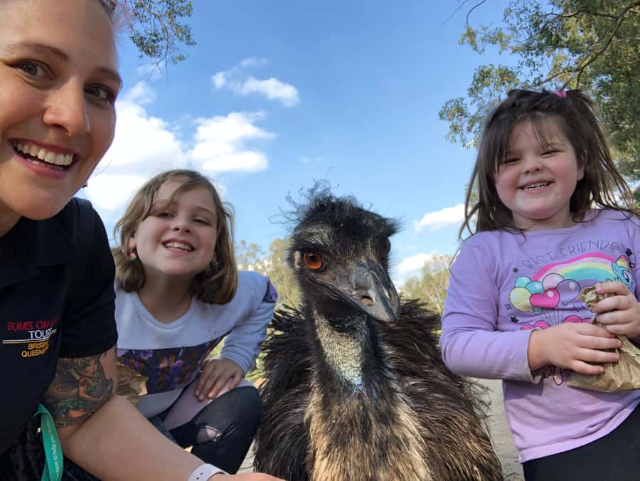 Lone Pine and Brisbane City Highlights - Who This Brisbane and Lone Pine Tour Works Best For