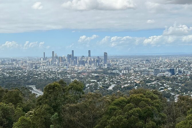 Lone Pine, Brisbane Highlights and Lunch! - Price and What You Actually Get for $161.38