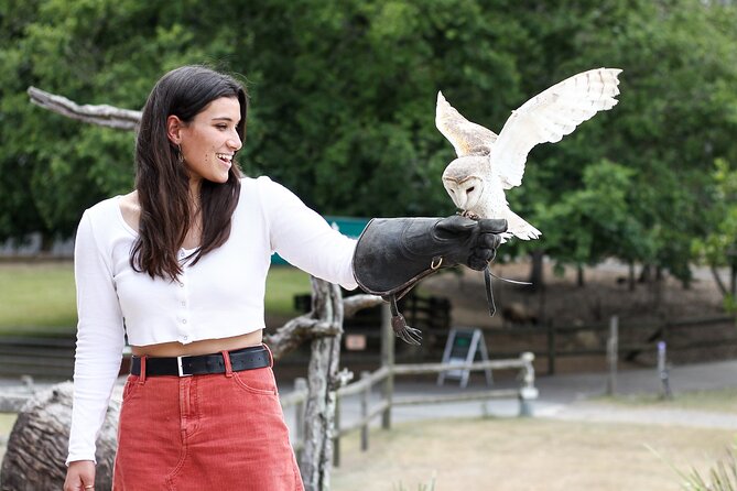 Lone Pine Koala Sanctuary Day Pass - Kangaroo Reserve hand-feeding: the hands-on payoff