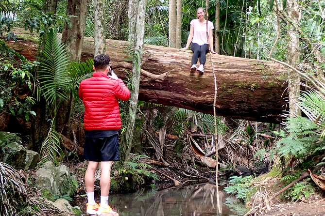Maiala Rainforest Tour - Wildlife and bird spotting: the realistic game plan