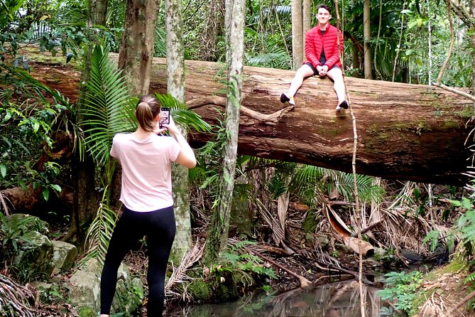 Maiala Rainforest Tour - Price and value for a Brisbane private nature tour