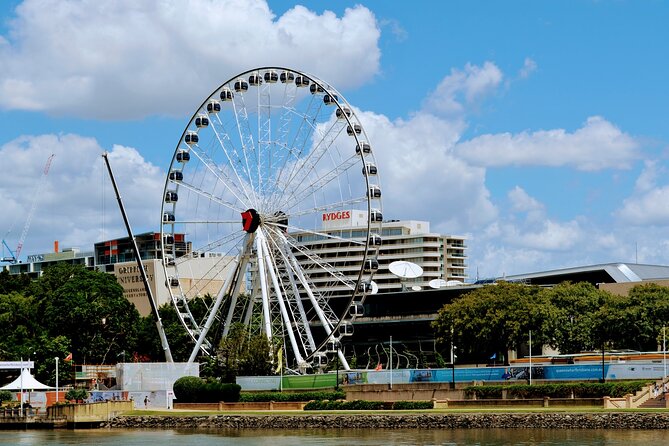 Mid-Afternoon Sightseeing Cruise: 2:30pm-4pm (90min) - What you’ll see along the Brisbane River: bridges, cliffs, and skyline views
