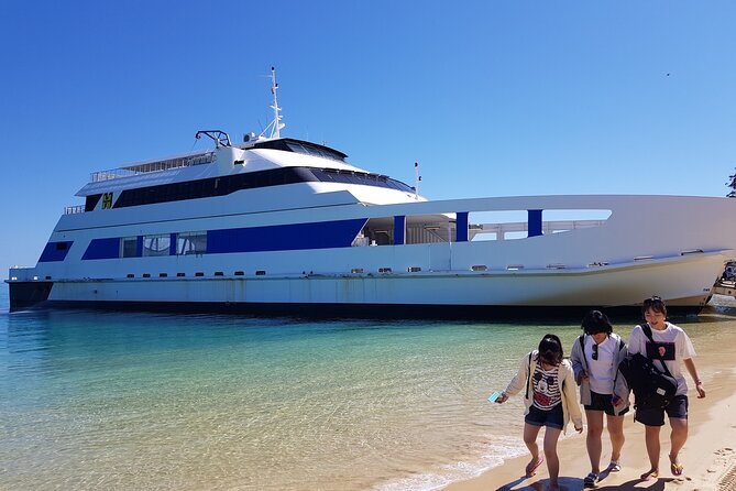 Moreton Island Day Trip (Kayak, Snorkel & Sandboard) frm Brisbane or Gold Coast - Sandboarding the Dunes: Adrenaline, Sun, and Getting Sand in Everything