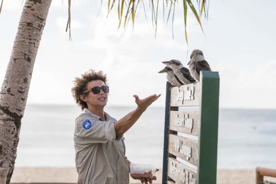 Moreton Island: Desert Safari Tour & Dolphin Viewing - The Full Day Schedule: How the Timing Adds Up
