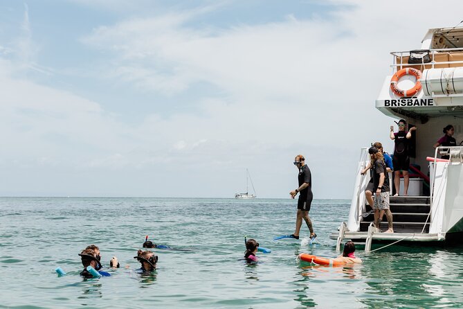 Moreton Island Eco Marine Safari Cruise and Snorkel - Key things I’d bet on before you book