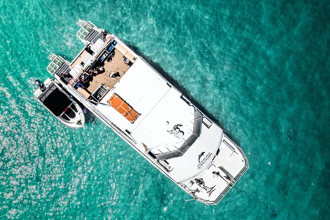 Moreton Island Eco Marine Safari Cruise and Snorkel - Tangalooma Wrecks snorkel: how it’s run and why it matters