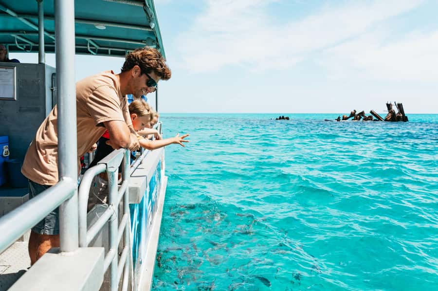 Moreton Island: Marine Discovery Cruise & Dolphin Feeding - From Holt Street Wharf to Moreton Island: the ferry day vibe