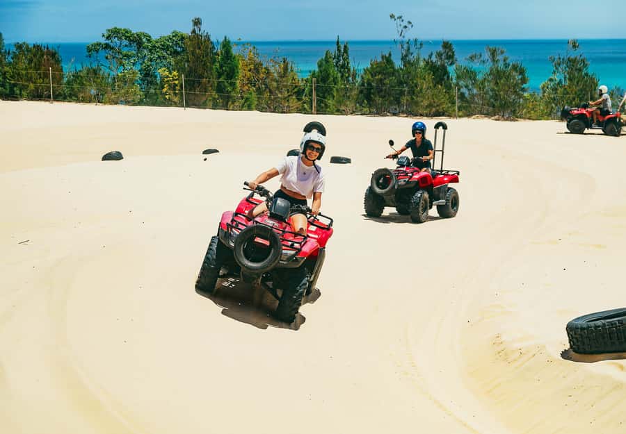 Moreton Island: Tangalooma ATV Quad Bike & Dolphin Feeding - Dolphin Feeding at Sunset: Wild Bottlenose Dolphins With Rules