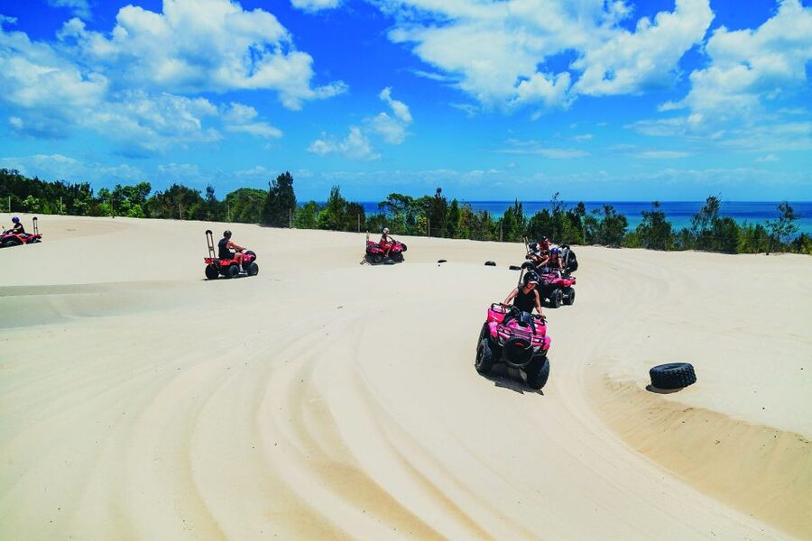 Moreton Island: Tangalooma ATV Quad Bike & Dolphin Feeding - Pricing and Value: What You Get for $172