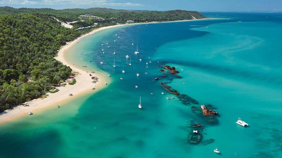 Moreton Island: Tangalooma Day Trip with ATV Quad Bike Tour - The Eco Centre and dolphin presentation at 3:15pm