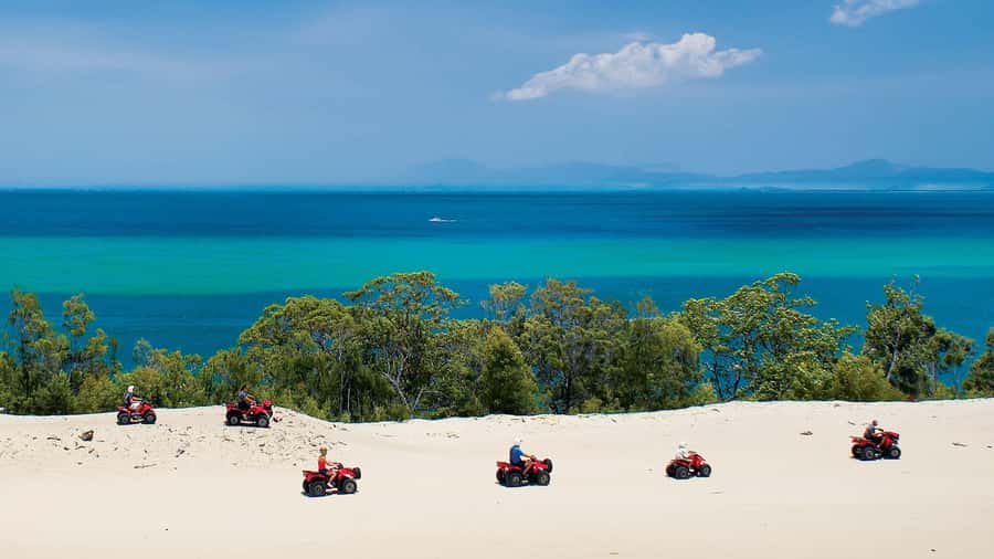 Moreton Island: Tangalooma Day Trip with ATV Quad Bike Tour - Free time you can actually use: pools, beach, and small comforts