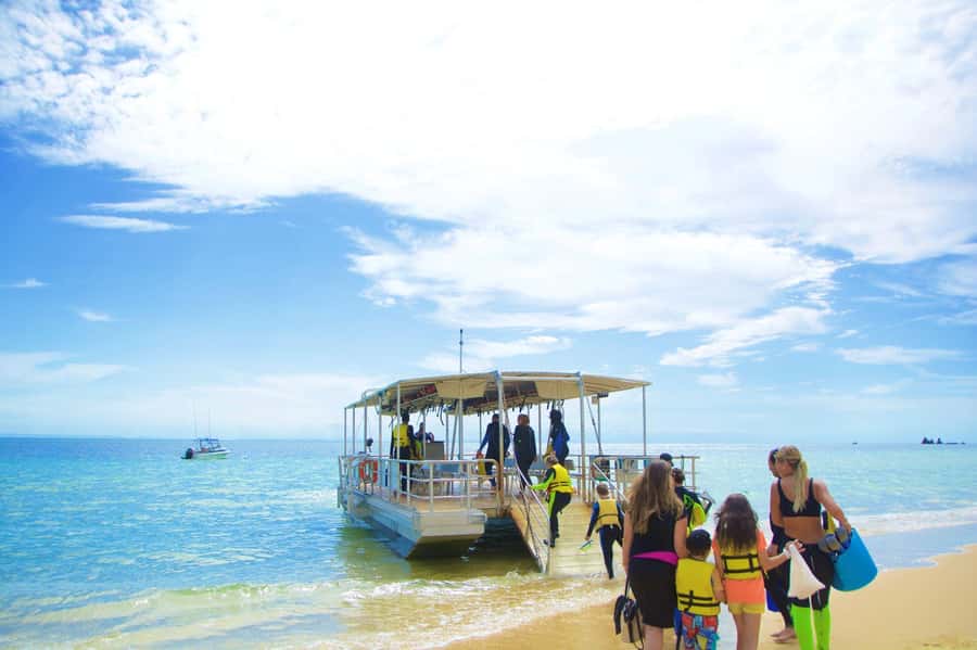 Moreton Island: Tangalooma Day Trip with Snorkeling Tour - Practical tips: how to avoid the small frictions