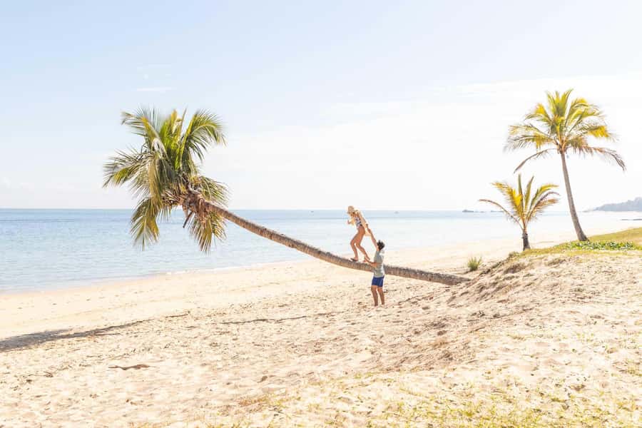 Moreton Island: Tangalooma Day Trip with Snorkeling Tour - Who this Moreton Island day trip is best for
