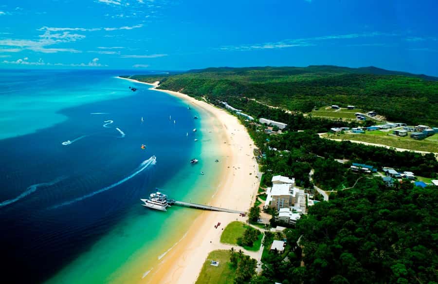 Moreton Island: Tangalooma Day Trip with Snorkeling Tour - Should you book this Tangalooma Wrecks day trip?
