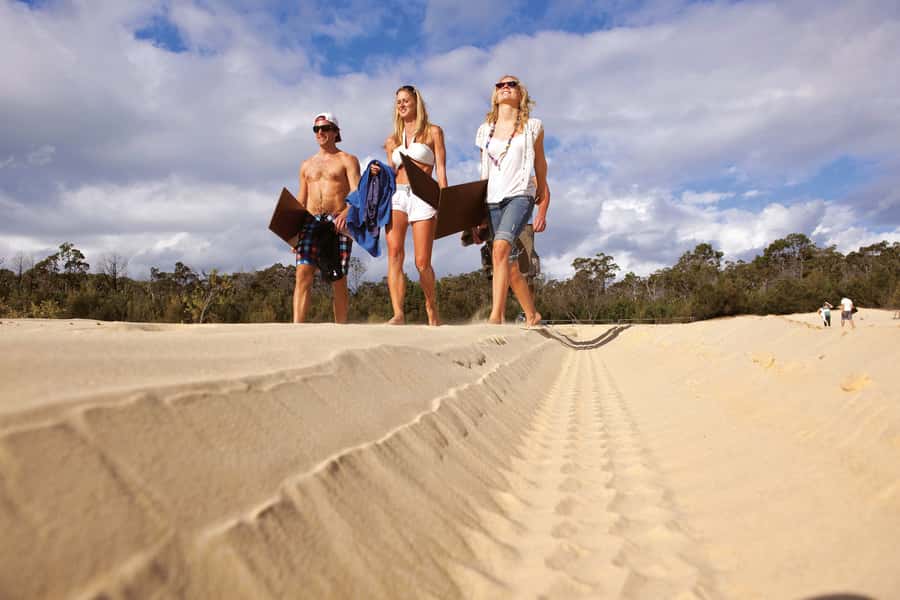 Moreton Island: Tangalooma Desert Safari and Dolphin Feeding - Key highlights worth planning for