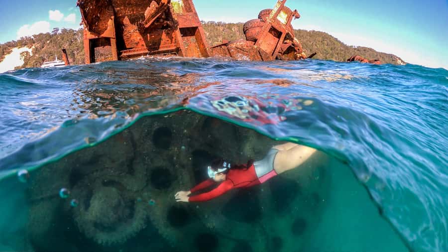 Moreton Island: Tangalooma Snorkeling Tour & Dolphin Feeding - Tangalooma Island Resort Day Pass: Pools, Food Voucher, and Beachfront Breaks