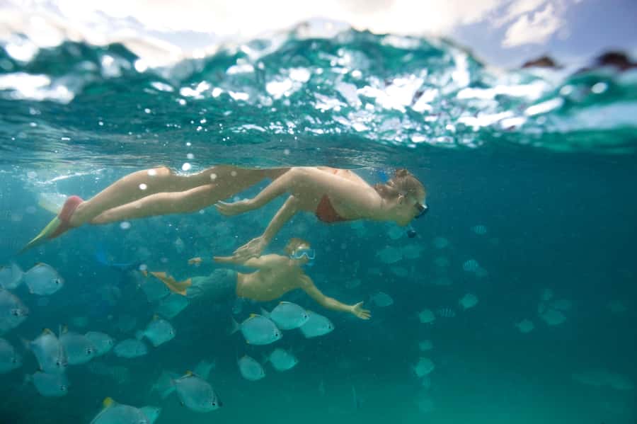 Moreton Island: Tangalooma Snorkeling Tour & Dolphin Feeding - Guided Snorkel at the Tangalooma Wrecks: What You’ll Actually See