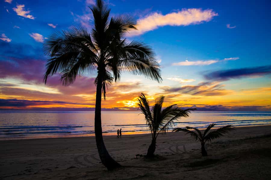 Moreton Island: Tangalooma Snorkeling Tour & Dolphin Feeding - Price and Value: Is $172 Worth It?