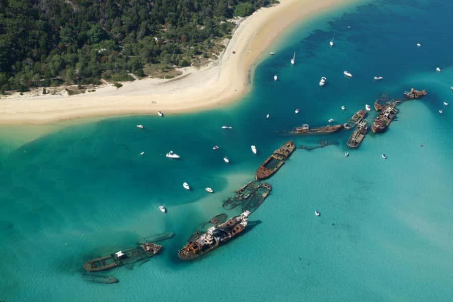 Moreton Island: Tangalooma Snorkelling with Dolphin Viewing - Price and value: is $157 per person worth it?