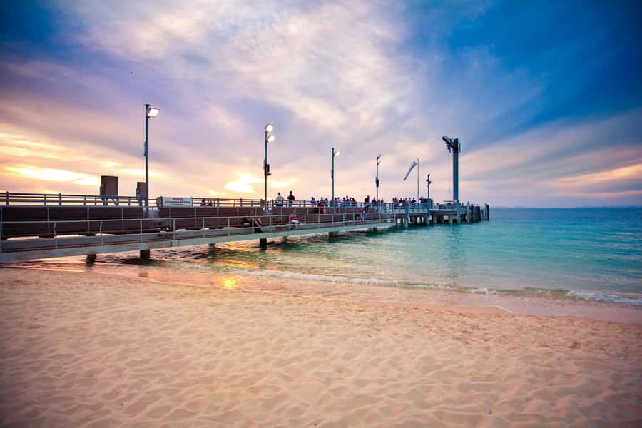 Moreton Island: Tangalooma Whale Watching & Dolphin Feeding - Getting Back to Brisbane: Seasonal Return Times and Why They Matter