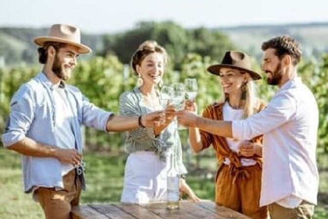Mount Tamborine Deluxe Wine Tasting with Two Course Lunch - Key Points Worth Noticing