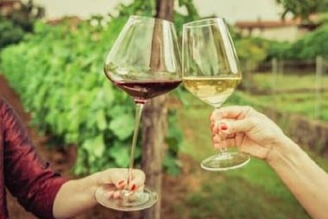 Mount Tamborine Deluxe Wine Tasting with Two Course Lunch - Is It Worth Booking at $161.38?