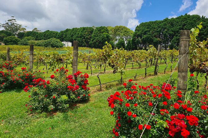 Mount Tamborine Wine Tasting Tour from Brisbane or the Gold Coast - Price and Value: Is $169.50 Reasonable?