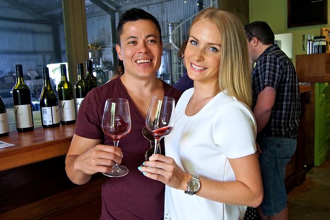 Mount Tamborine Wine Tasting Tour from Brisbane or the Gold Coast - Transport, Group Size, and Comfort Notes for Real Life