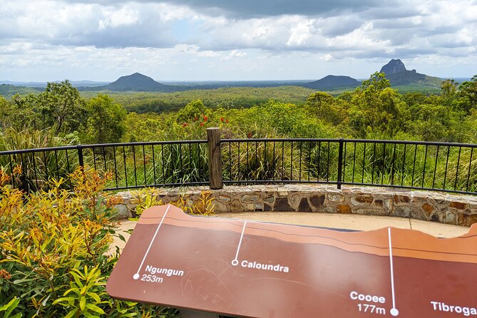 Noosa, Aussie Animals & Glass House Mountains from Brisbane - Noosa Main Beach and Noosa National Park without feeling rushed