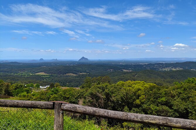 Noosa, Aussie Animals & Glass House Mountains from Brisbane - Price and logistics: where the value really comes from
