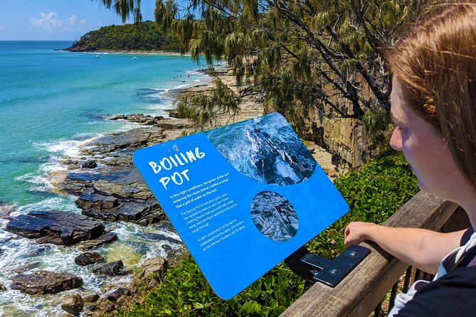 Noosa, Eumundi Markets, Glass House Mountains from Brisbane - Key highlights at a glance