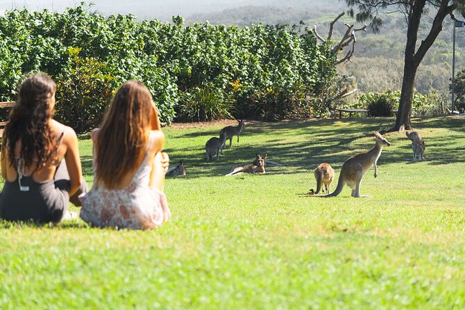 North Stradbroke Island Day Tour from Brisbane – Small Group - The overall pacing: great for wildlife, a little demanding for pure beach time