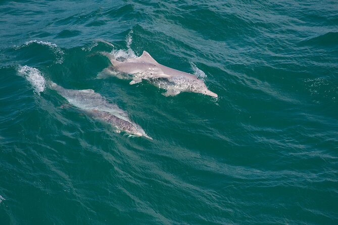 North Stradbroke Island Private Tour with Pickup - Price and value at about $197.24 pp: paying for less hassle, not luxury
