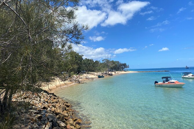 North Stradbroke Island WILDLIFE Adventure Tour from Brisbane - Key highlights at a glance