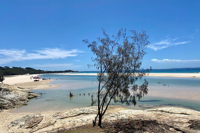 North Stradbroke Island WILDLIFE Adventure Tour from Brisbane - North Stradbroke’s north shore: a full-day hit of coast and wildlife