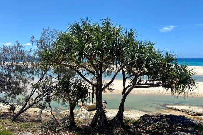 North Stradbroke Island WILDLIFE Adventure Tour from Brisbane - Getting started in Brisbane: Adina Apartment Hotel and a 7:45 am launch