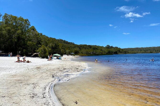 North Stradbroke Island WILDLIFE Adventure Tour from Brisbane - Price and value: what $106.87 covers (and what it doesn’t)