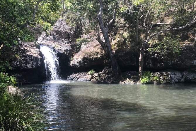 Private Group Tour Brisbane & Gold Coast Personal Tours - Your Guide Makes It Personal: Tania and Mark’s Style