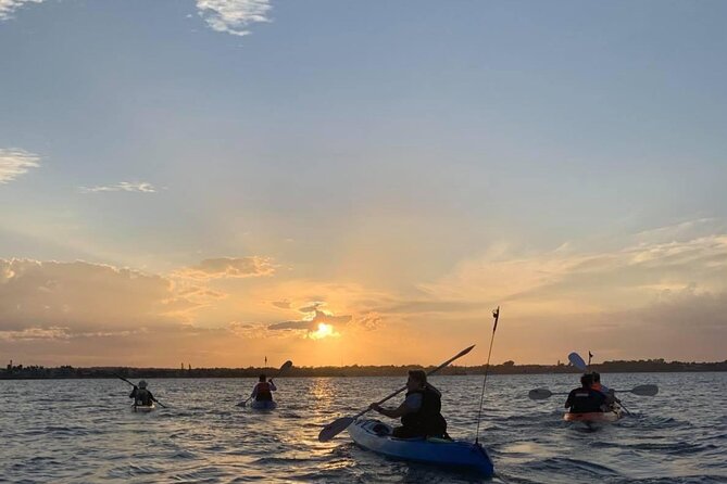 Raby Bay Wildlife Kayak Tour - Raby Bay in 90 minutes: calm water, big wildlife energy