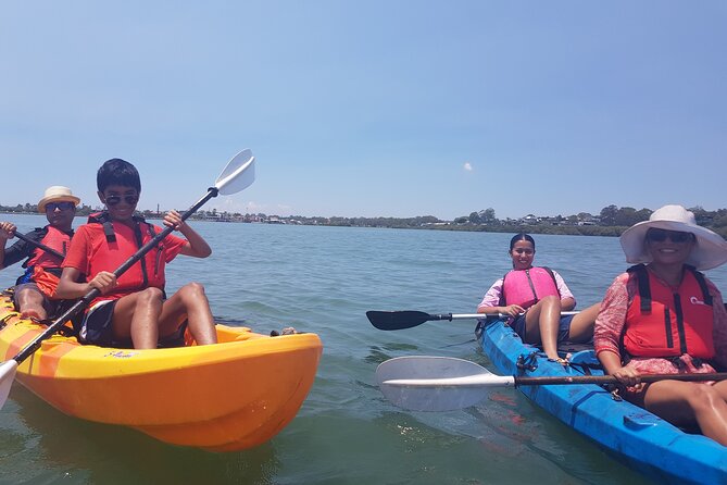 Raby Bay Wildlife Kayak Tour - Stop 2: rocky coral reef—turtles, dolphins, and fish in the mix