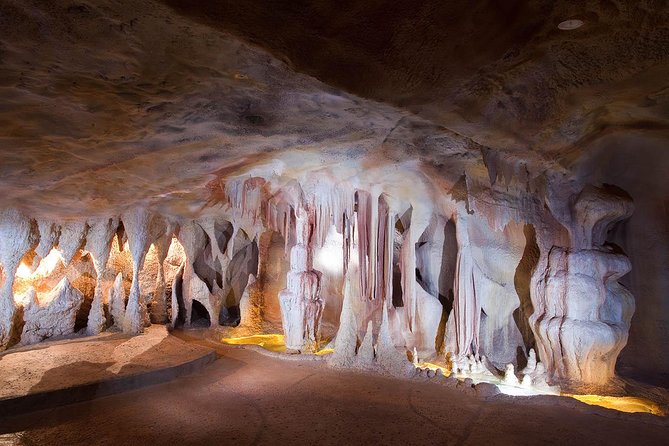 Springbrook andTamborine Rainforest Tour Incl Natural Bridge and Glow Worm Cave - Glow Worm Caves at Cedar Creek: How You See Them in Daylight