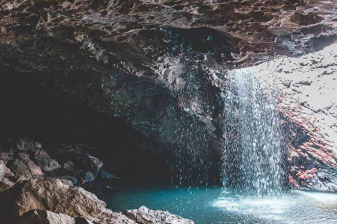 Springbrook andTamborine Rainforest Tour Incl Natural Bridge and Glow Worm Cave - Tamborine Mountain Break: Gallery Walk, Hang Glider Lookout, and Easy Shopping Time