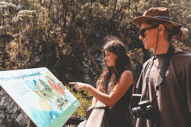 Springbrook andTamborine Rainforest Tour Incl Natural Bridge and Glow Worm Cave - Hinze Dam: A Wildlife Pause That Breaks the Day