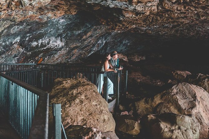 Springbrook andTamborine Rainforest Tour Incl Natural Bridge and Glow Worm Cave - Timing, Walking Levels, Shoes, and Weather Reality