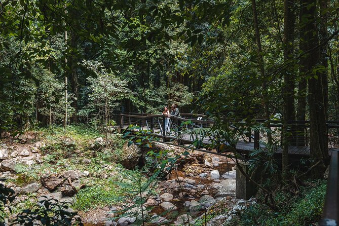 Springbrook andTamborine Rainforest Tour Incl Natural Bridge and Glow Worm Cave - Price and Value: Is $135.56 Worth It?