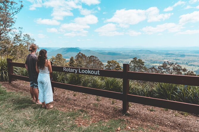 Springbrook andTamborine Rainforest Tour Incl Natural Bridge and Glow Worm Cave - Who Should Book This Tour (and Who Might Not Love It)