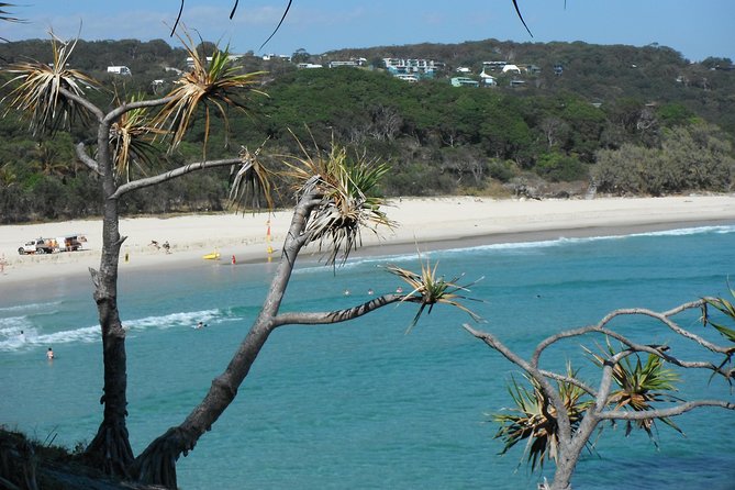 Stradbroke Island 4WD Day Trip from Brisbane - Stop 2: Amity Point Jetty for dolphin chances