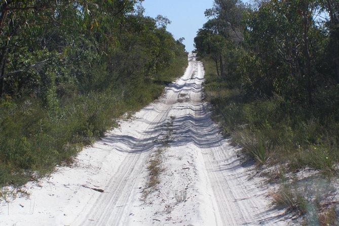 Stradbroke Island 4WD Day Trip from Brisbane - Stop 3: Dunwich and koala hopes
