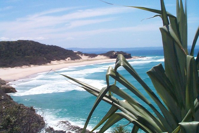 Stradbroke Island 4WD Day Trip from Brisbane - Wildlife spotting: what’s realistic and what’s seasonal